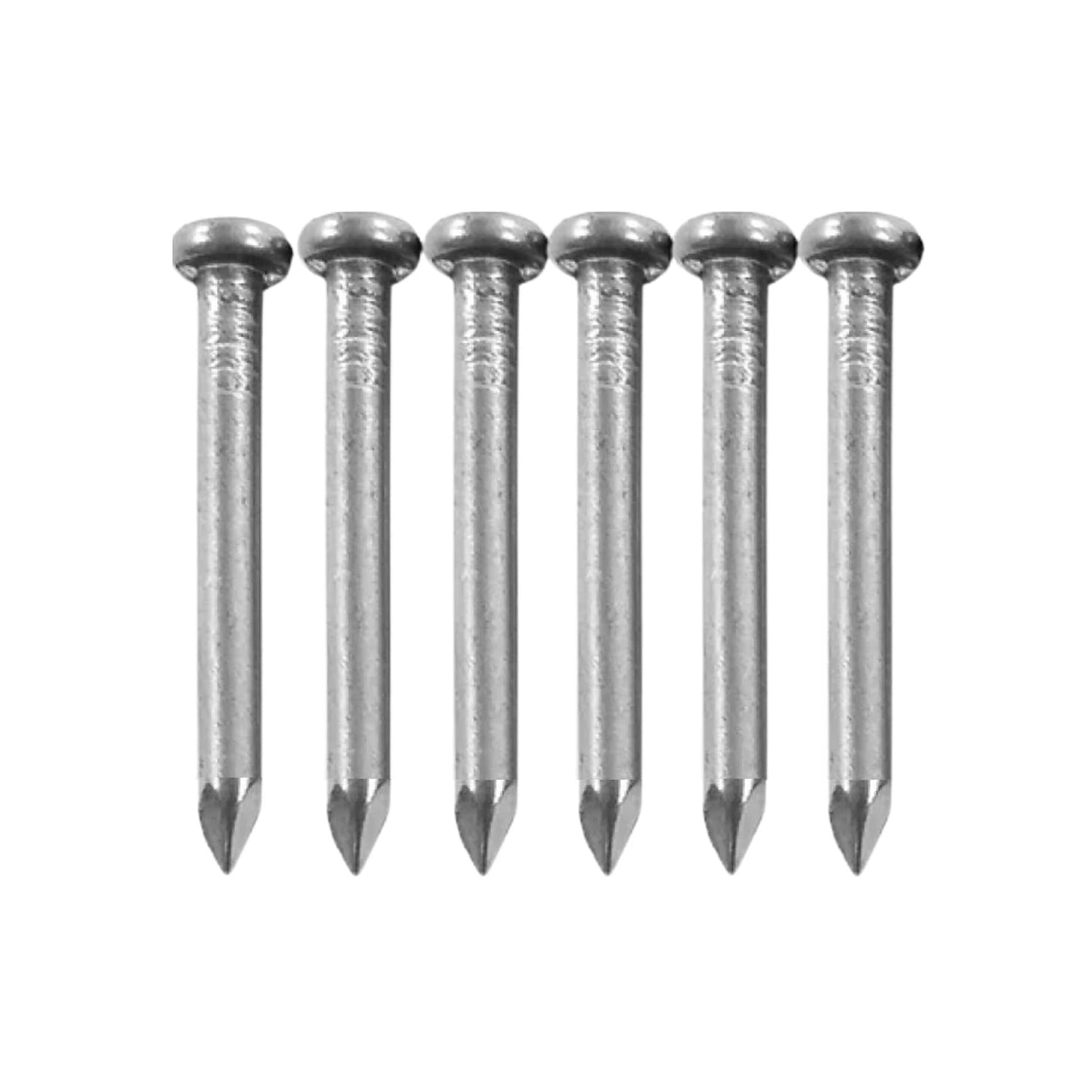 6 clavos de acero para madera, acabado brillante, cabeza redonda plana y punta aguda