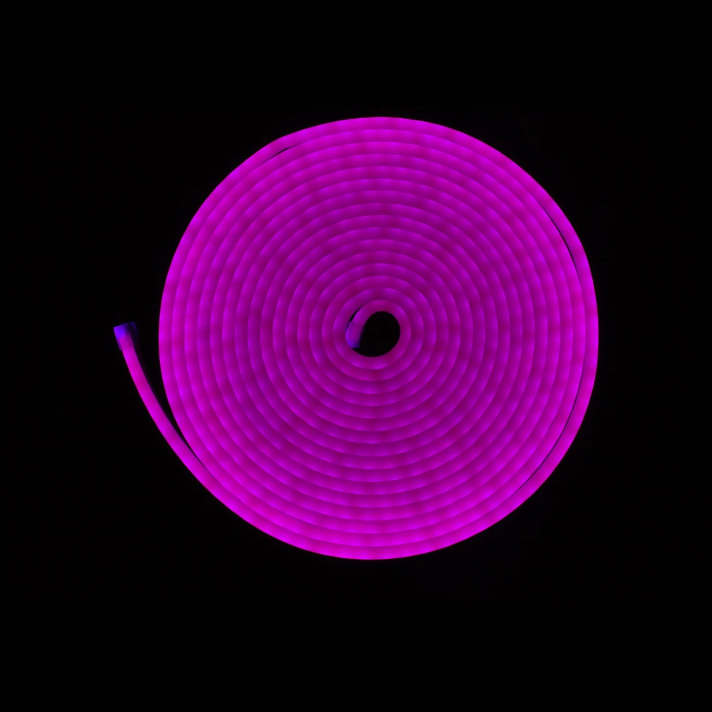Tira led morado neón 5 m Maigoo MG02811
