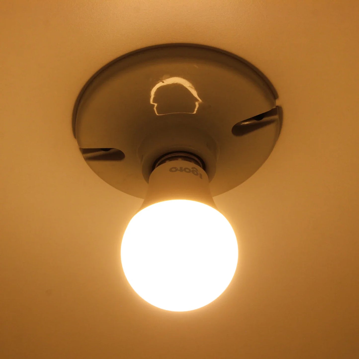 Foco led 12 W luz cálida Igoto F20112