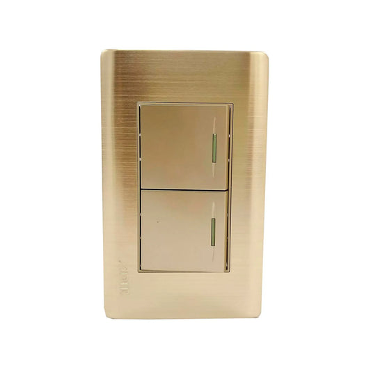 Fabricada de aluminio.,Cubierta acero inoxidable.,127 V - 10 A - 60 Hz,Placa de 2 apagadores.,Incluye tornillos.,Con reflejante.,Línea: Rose Gold Florence.