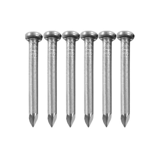 6 clavos de acero para madera, acabado brillante, cabeza redonda plana y punta aguda
