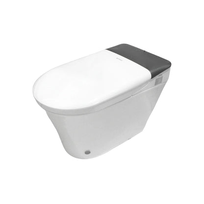 Baño/WC inteligente Fidic W8002