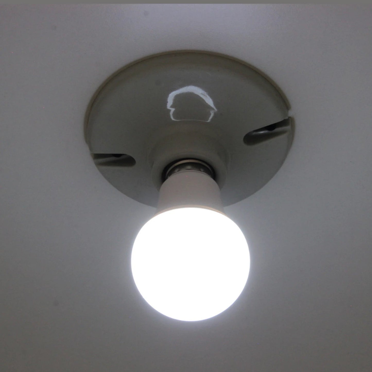 Foco LED de 9W luz blanca fría, encendido en portalámparas de techo para iluminación interior