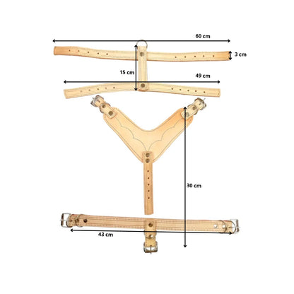 Pechera de cuero natural para animales con correas ajustables y hebillas; incluye medidas de 60, 49 y 43 cm.