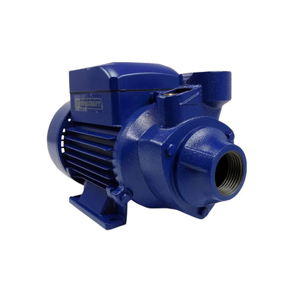 Bomba periférica.,Potencia 1/2 HP,Caudal máximo: 40 litros por minuto.,Altura máxima: 30 metros.,Succión: 1",Salida: 1",Velocidad: 3,450 RPM,Ideal para abastecer el consumo de agua doméstico.,Mueve agua con alta capacidad de presión y bajo flujo.,Montada sobre rodamientos blindados.